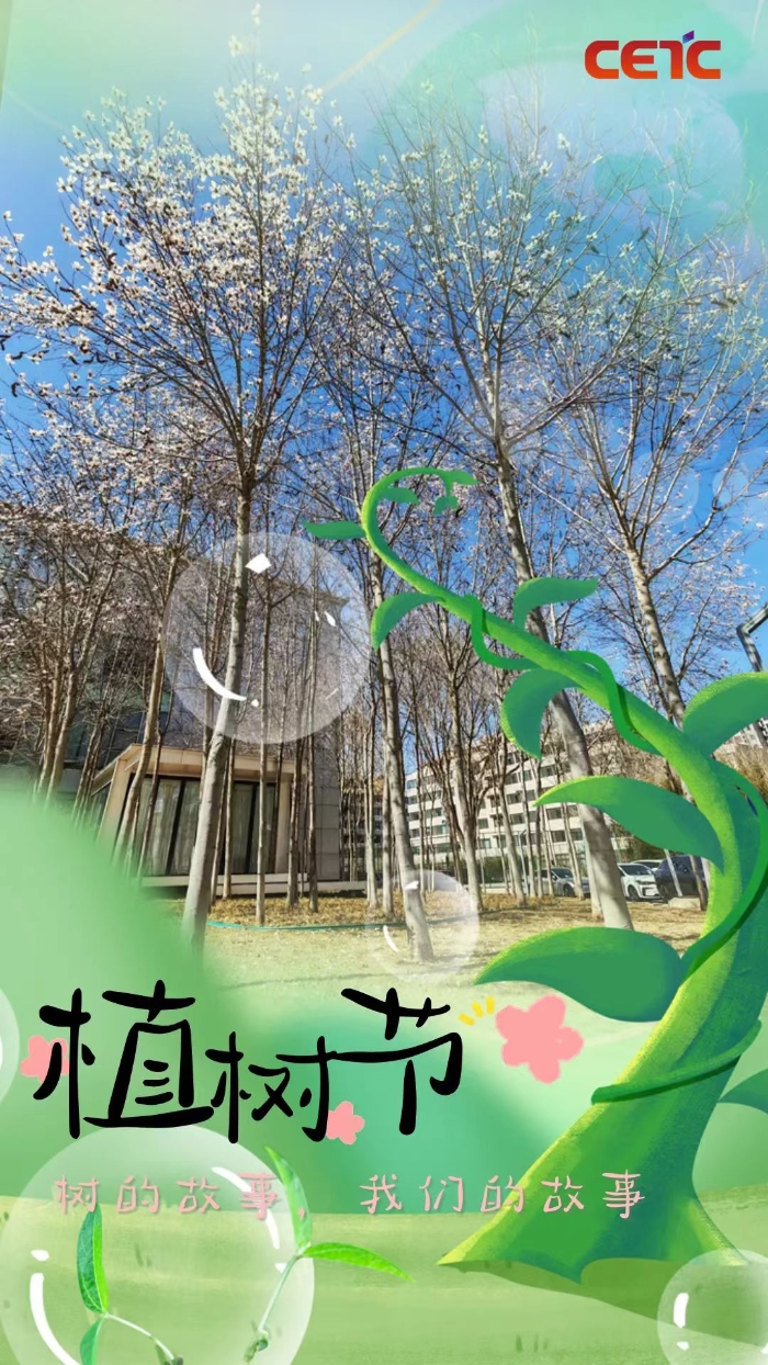 植树7