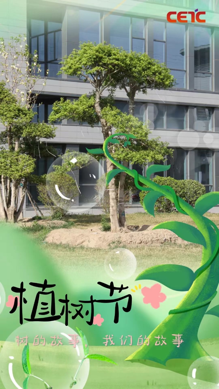 植树8