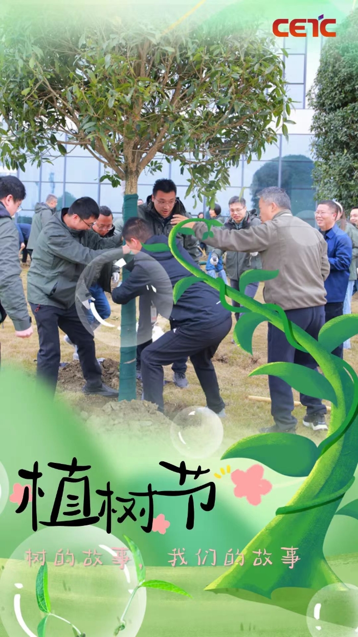 植树11