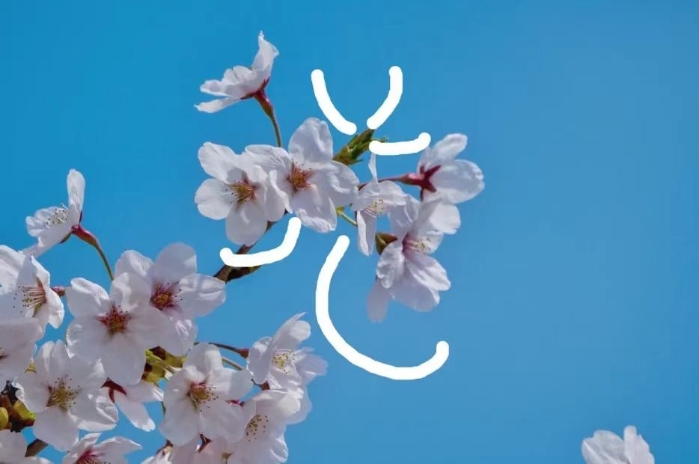 春光2
